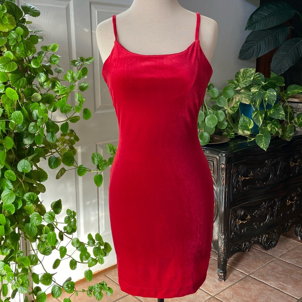 Gianni Bini Velvet Dress
